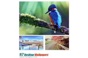 دانلود مجموعه ۸۷ والپیپر با کیفیت برای دسکتاپ - Desktop Wallpapers