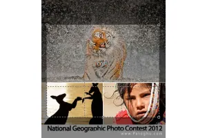 دانلود مجموعه 50 والپیپر برتر جشنواره نشنال جئوگرافیک ۲۰۱۲