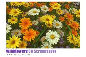 دانلود اسکرین سیور بسیار زیبای گل های وحشی Wildflowers 3D Screensaver