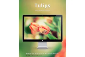 دانلود تم جذاب و شیک Tulip VS Theme For Windows 7 - ویندوز سون