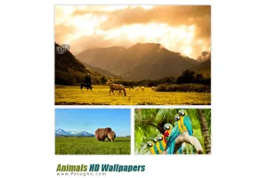 دانلود مجموعه ۵۰ پس زمینه با کیفیت از حیوانات Animals HD Wallpapers