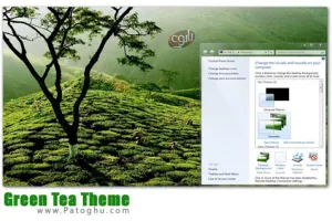 دانلود تم چای سبز برای ویندوز سون - Green Tea Theme