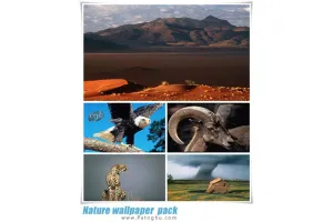 دانلود مجموعه 93 والپیپر دسکتاپ زیبا از طبیعت و حیات وحش Nature wallpaper