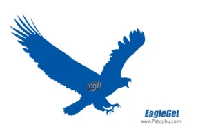 دانلود EagleGet 2.1.6.70 نرم افزار قدرتمند مدیریت دانلود