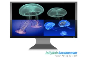 دانلود محافظ صفحه نمایش بسیار زیبای عروس دریایی Jellyfish Screensaver 2013