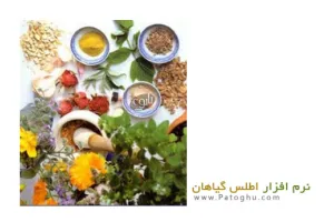 دانلود نرم افزار فارسی اطلس گیاهان ( معرفی کامل گیاهان دارویی ، میوه ها و سبزیجات )