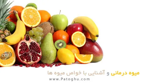 دانلود کتاب میوه درمانی و آشنایی کامل با خواص مفید میوه ها