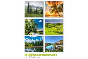 والپیپر های زیبا و با کیفیت بالا از طبیعت برای دسکتاپ HQ Wallpapers Beautiful Nature