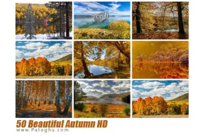 مجموعه 50 عکس بسیار زیبا و با کیفیت پاییزی برای پس زمینه دسکتاپ Beautiful Autumn HD Wallpapers