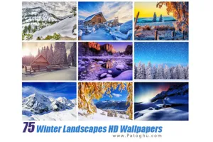 مجموعه والپیپر زمستان و برف برای دسکتاپ Winter Landscapes HD Wallpapers