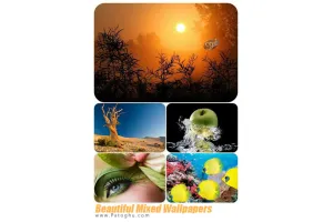 مجموعه والپیپرهای زیبا و میکس شده Beautiful Mixed Wallpapers Pack 1