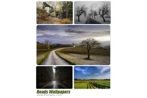 مجموعه پس زمینه از جاده های زیبا و رویایی برای دسکتاپ Roads Wallpapers