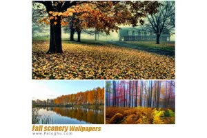 مجموعه 225 عکس با کیفیت از چشم اندازهای بکر طبیعت برای پس زمینه Fall scenery