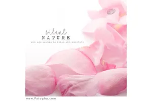 دانلود مجموعه آهنگ بی کلام طبیعت بی صدا : برای آرامش و مدیتیشن Silent Nature Sounds to Relax and Meditate (2016)