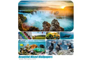 دانلود مجموعه والپیپر با کیفیت میکس شده برای دسکتاپ Beautiful Mixed Wallpapers