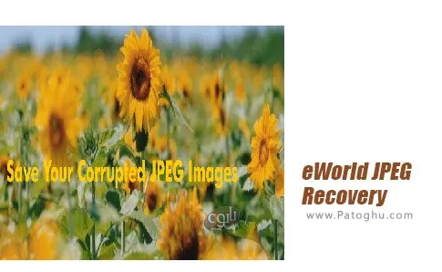 دانلود نرم افزار eWorld JPEG Recovery برای ویندوز