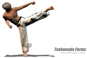 دانلود نرم افزار Taekwondo Forms v1.7.4g فرم های تکواندو برای اندروید