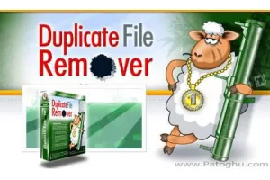 حذف فایل های تکرای هارد دیسک و افزایش سرعت سیستم  با Delete Duplicate Files 3.3