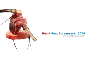 تجربه دیدن حرکات واقعی قلب و شنیدن صدای قلب با Heart Beat Screensaver 2009