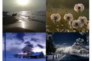 68 تصویر زیبا در روایت دنیای پیرامون ما World In Photo