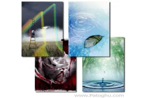 عکس های پس زمینه موبایل با موضوع طبیعت - عکس 240x320