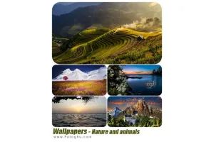 مجموعه پس زمینه زیبا و با کیفیت طبیعت و حیوانات Wallpapers Nature and animals