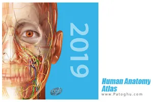دانلود اطلس آناتومی بدن انسان برای اندروید Human Anatomy Atlas v2023.02.001