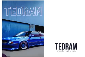 دانلود بازی Tedram تدرام برای کامپیوتر PC