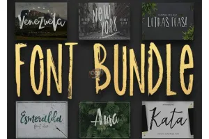 دانلود مجموعه 12 فونت انگلیسی Font BUNDLE