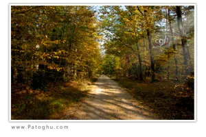 دانلود مجموعه ۳۰ پس زمینه دیدنی از مناظر طبیعی با کیفیت HD