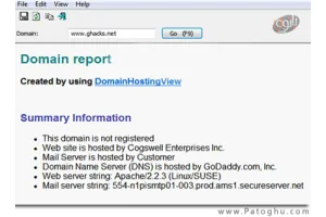 اطلاعات کامل از سایتها و تاریخچه سایتها توسط نرم افزار DomainHostingView 1.11