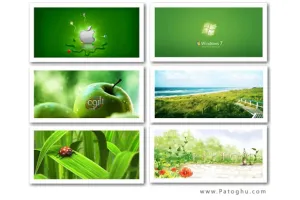 دانلود مجموعه پس زمینه سبز ویندوز با کیفیت بالا - Green Color Wallpaper