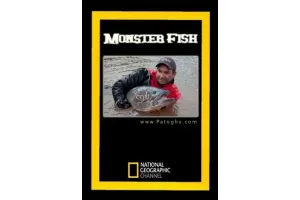 دانلود مستند مارماهی غول پیکر National Geographic - Monster Fish: Giant Eels