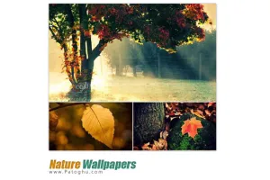 215 تصویر زیبا و دیدنی با موضوع طبیعت - Nature Wallpapers