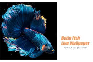 دانلود 1.4 Betta Fish Live Wallpaper FREE والپیپر زنده ماهی بتا برای اندروید