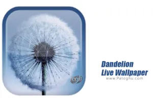 والپیپر زنده قاصدک برای اندروید Dandelion Live Wallpaper 2.0.4