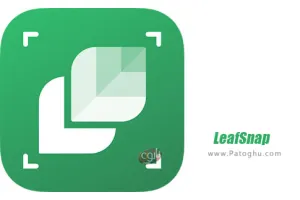 دانلود LeafSnap Plant Identification 1.4.0 نرم افزار شناسایی گونه های گیاهی برای اندروید