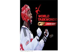 دانلود بازی Taekwondo Grand Prix مبارزات تکواندو برای کامپیوتر