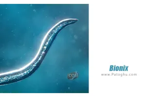 دانلود بازی 51.00 Bionix مود - نصب بازی فرگشت باکتری ها برای اندروید