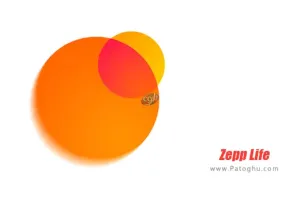 دانلود و نصب Zepp Life ( Mi Fit ) 6.5.6 برنامه دستبند شیائومی برای اندروید