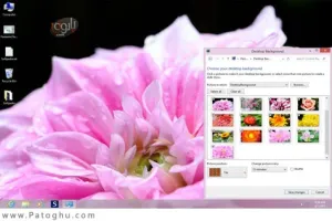 دانلود تم بسیار زیبای گل های فوق العاده برای ویندوز 7 ، 8 و 8.1 - Fantastic Flowers Theme