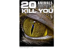 دانلود مستند 20 حیوان کشنده جهان Animals That Will Kill You