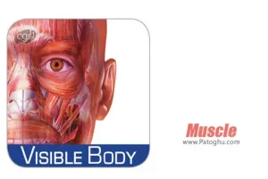 نرم افزار آناتومی سه بعدی عضلات بدن انسان اندروید Muscle Premium v4.1.13