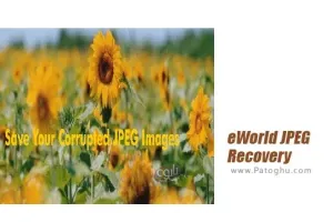 دانلود نرم افزار eWorld JPEG Recovery Pro 6.1 بازیابی تصاویر JPEG