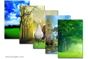 مجموعه عکس های پس زمینه ی جدید و بسیار زیبا از طبیعت برای گوشی های موبایل