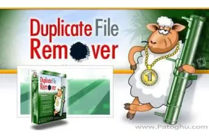 حذف فایل های تکرای هارد دیسک و افزایش سرعت سیستم  با Delete Duplicate Files 3.3