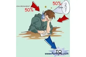 نرم افزار موبايل تست هوش با فرمت جاوا Brain Genius 2