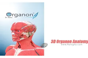 دانلود 3D Organon Anatomy 3.0.0 نرم افزار آناتومی و اطلس بدن انسان