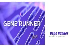 دانلود Gene Runner 6.5.50 نرم افزار آنالیز ژن ها