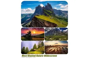 مجموعه پس زمینه عریض از طبیعت با کیفیت بالا Most Wanted Nature Widescreen